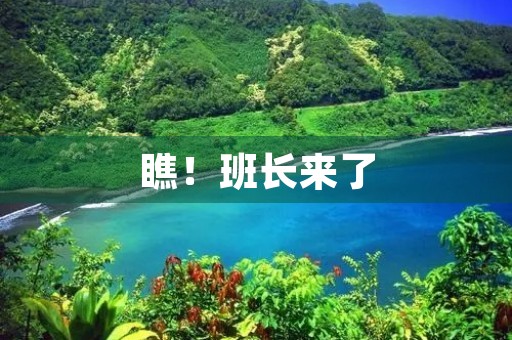 瞧!班长来了 瞧!班长来了