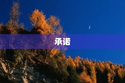 承诺