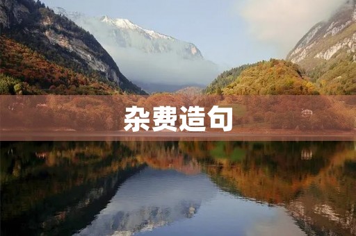 杂费造句