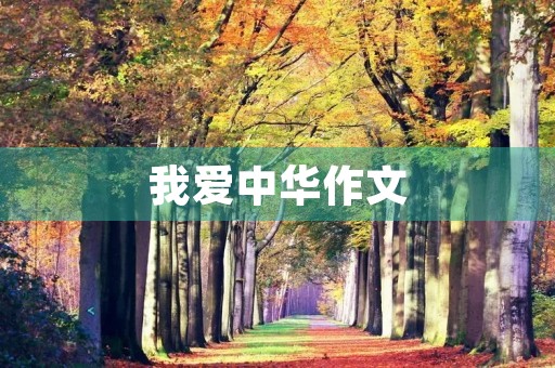 我爱中华作文 我爱中华作文