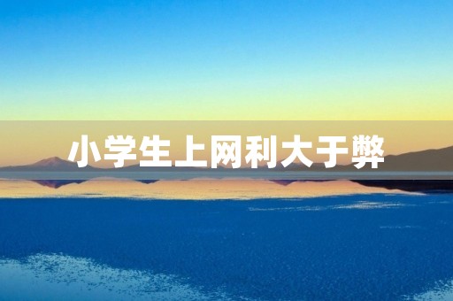 小学生上网利大于弊 小学生上网利大于弊