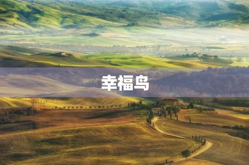 幸福鸟 幸福鸟