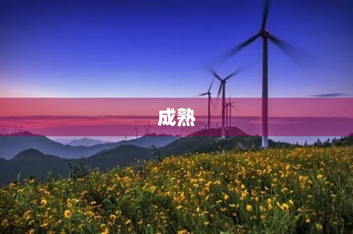 成熟 成熟