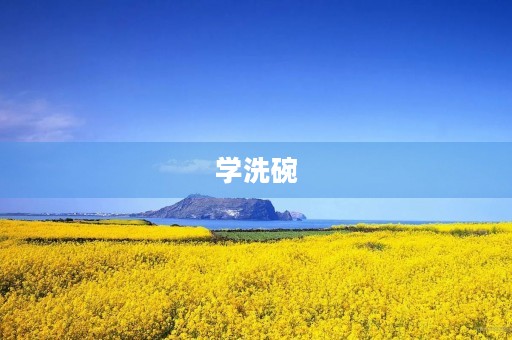 学洗碗