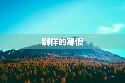 别样的寒假 别样的寒假