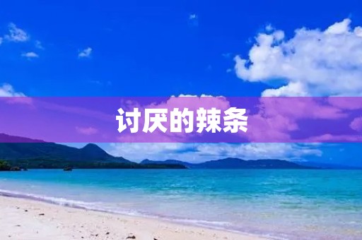 讨厌的辣条 讨厌的辣条