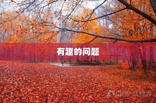 有趣的问题