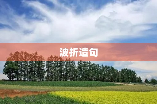 波折造句