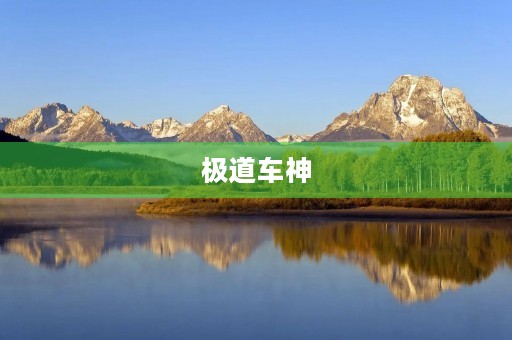 极道车神 极道车神