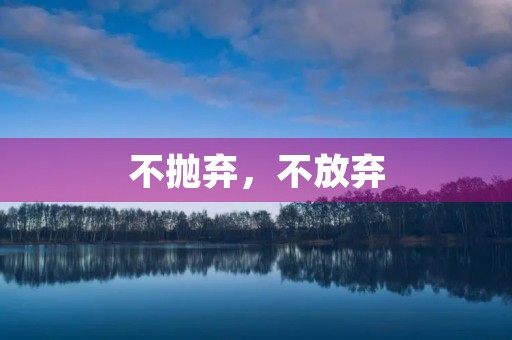 不抛弃,不放弃 不抛弃,不放弃