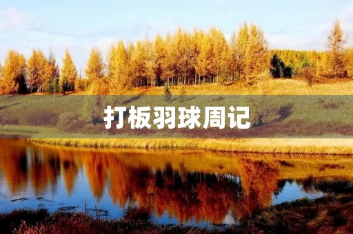 打板羽球周记 打板羽球周记
