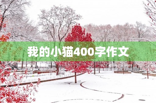 我的小猫400字作文 我的小猫400字作文