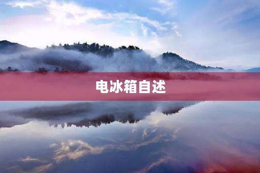 电冰箱自述