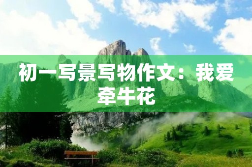 初一写景写物作文:我爱牵牛花 初一写景写物作文:我爱牵牛花