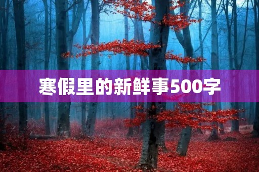 寒假里的新鲜事500字
