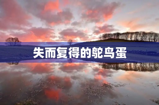 失而复得的鸵鸟蛋