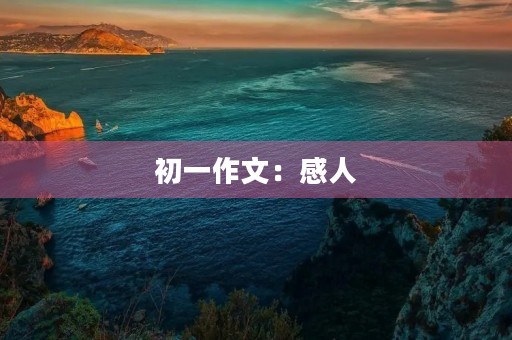 初一作文：感人