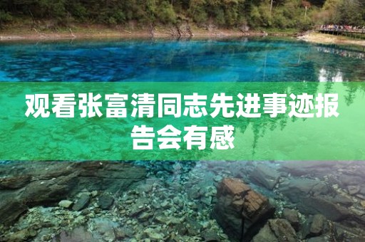 观看张富清同志先进事迹报告会有感