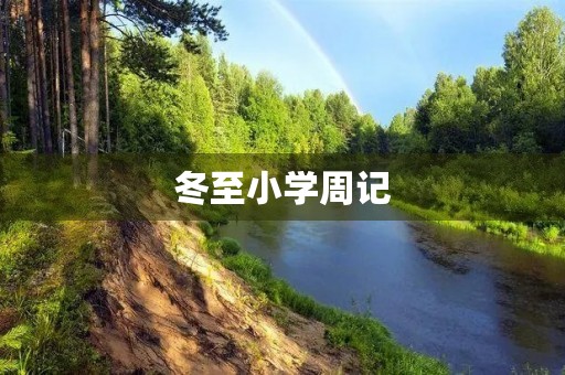 冬至小学周记