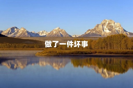 做了一件坏事