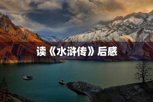 读《水浒传》后感 读《水浒传》后感