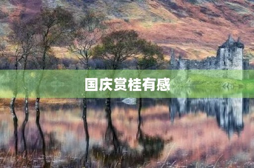 国庆赏桂有感 国庆赏桂有感