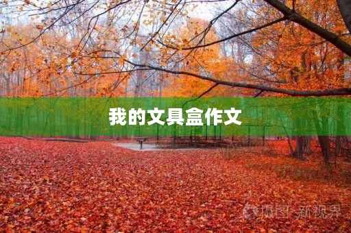 我的文具盒作文 我的文具盒作文