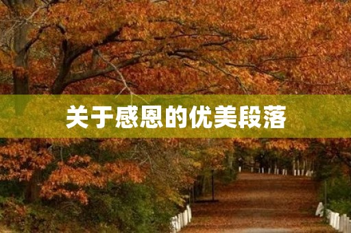 关于感恩的优美段落