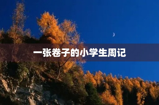 一张卷子的小学生周记 一张卷子的小学生周记