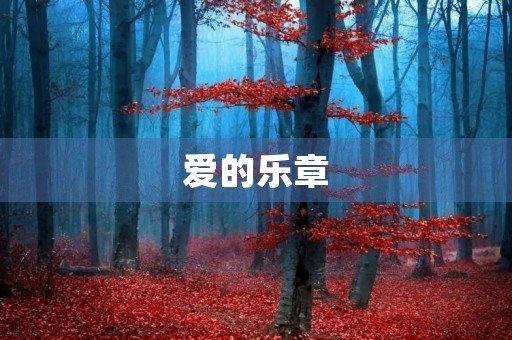 爱的乐章 爱的乐章