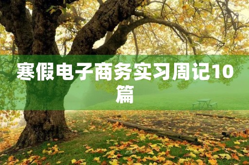 寒假电子商务实习周记10篇 寒假电子商务实习周记10篇