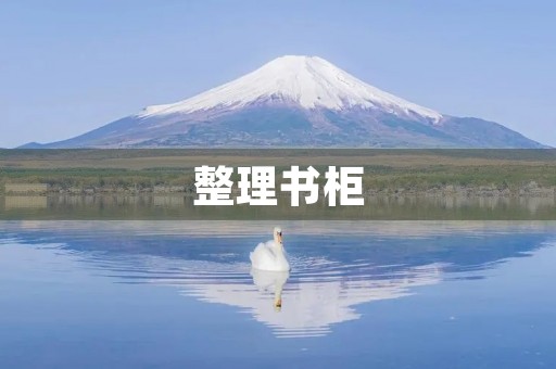整理书柜 整理书柜