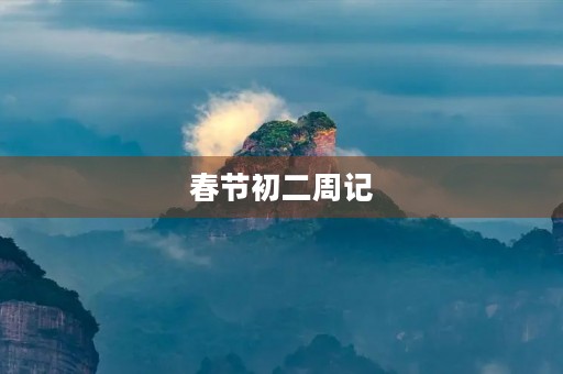 春节初二周记 春节初二周记