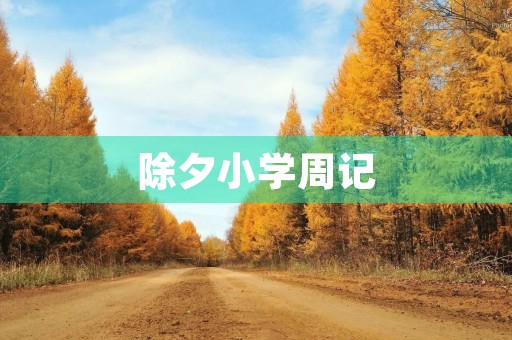 除夕小学周记