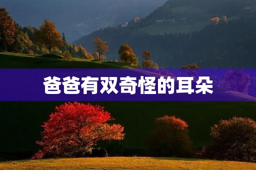 爸爸有双奇怪的耳朵 爸爸有双奇怪的耳朵
