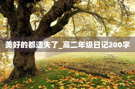 美好的都遗失了_高二年级日记200字 美好的都遗失了_高二年级日记200字