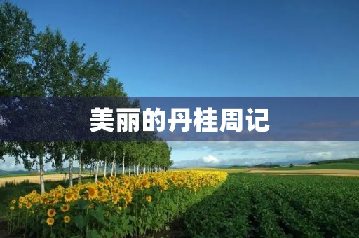 美丽的丹桂周记
