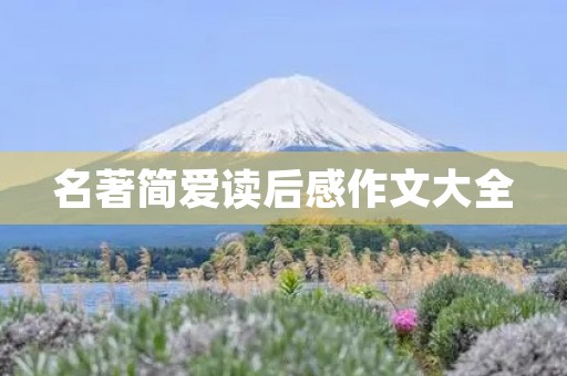 名著简爱读后感作文大全 名著简爱读后感作文大全