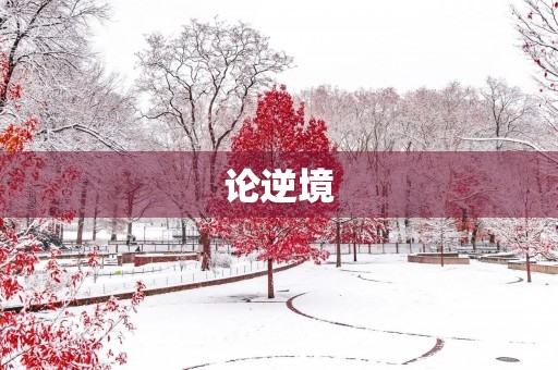 论逆境 论逆境