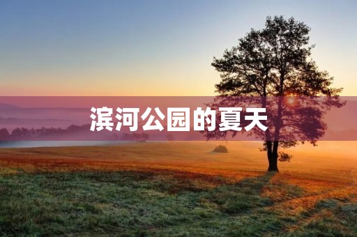 滨河公园的夏天 滨河公园的夏天
