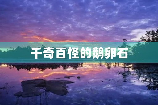 千奇百怪的鹅卵石 千奇百怪的鹅卵石
