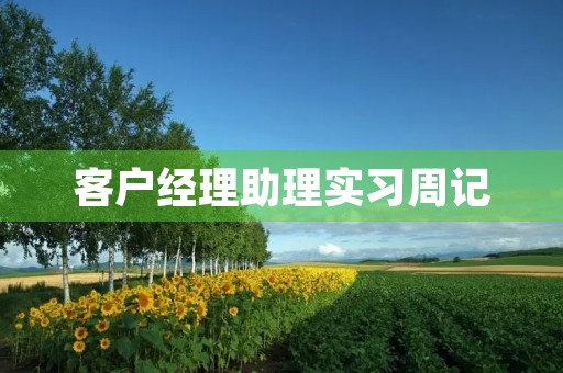 客户经理助理实习周记 客户经理助理实习周记