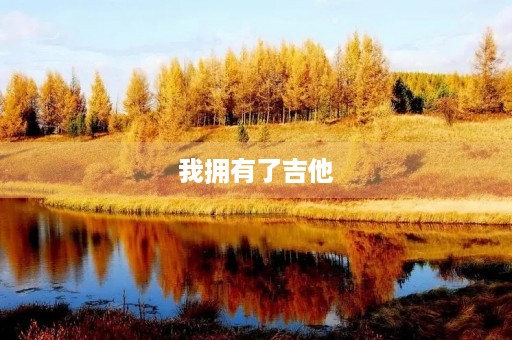 我拥有了吉他