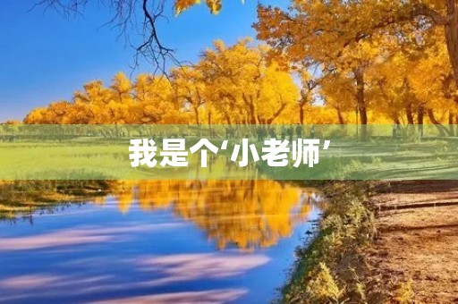 我是个‘小老师’ 我是个‘小老师’