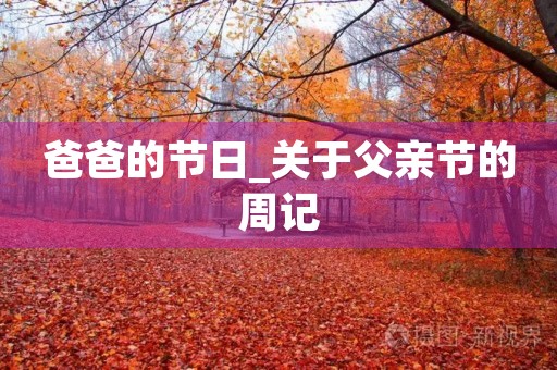 爸爸的节日_关于父亲节的周记