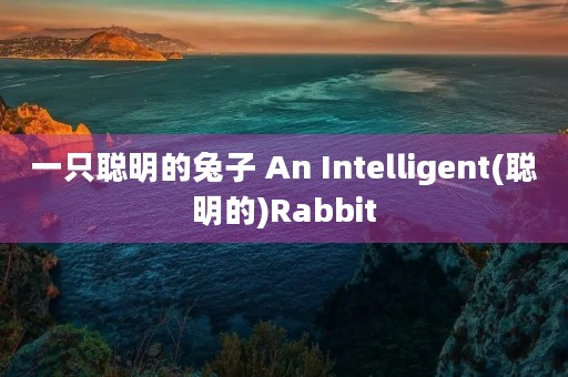一只聪明的兔子 An Intelligent(聪明的)Rabbit