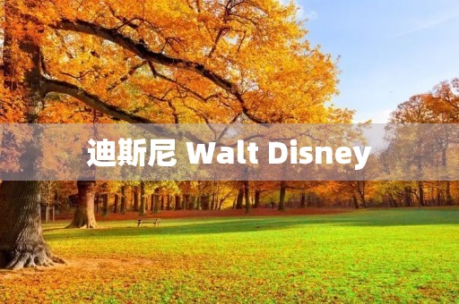 迪斯尼 Walt Disney 迪斯尼 Walt Disney
