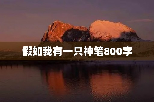假如我有一只神笔800字