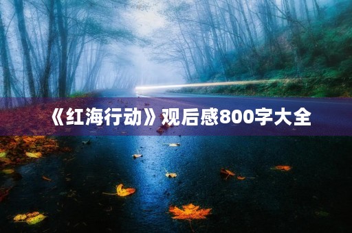 《红海行动》观后感800字大全