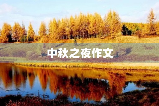 中秋之夜作文 中秋之夜作文